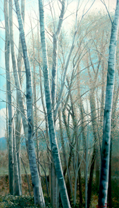 Álamos pintura de Montse Cantí: Paisaje