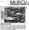 murcia3 * 356 x 374 * (31KB)